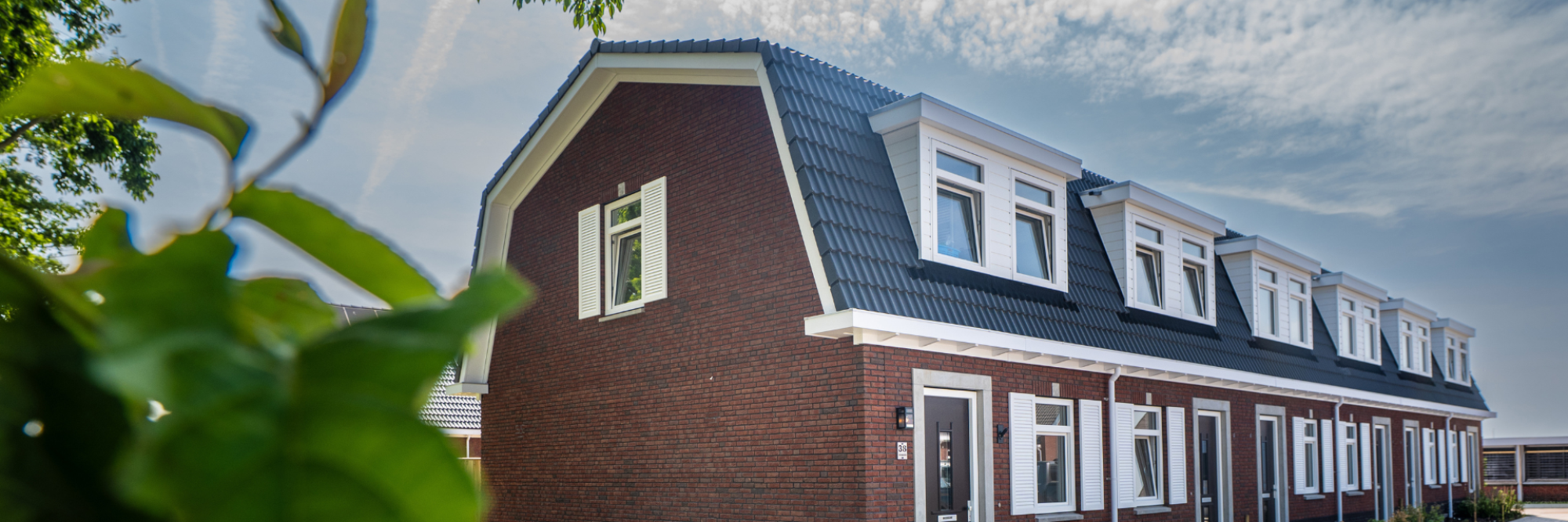 Polytech Proline dakgoot op rijtjeshuis